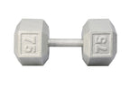 YORK® Cast Iron Hex Dumbbell (Residential Use Only)